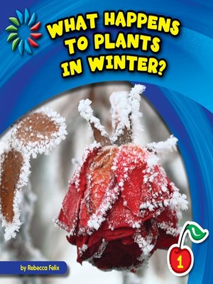 cover image of What Happens to Plants in Winter?